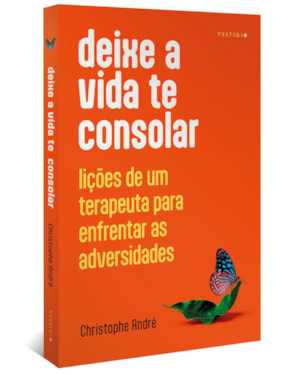 DEIXE A VIDA TE CONSOLAR: LIÇÕES DE UM TERAPEUTA PARA ENFRENTAR AS ADVERSIDADES