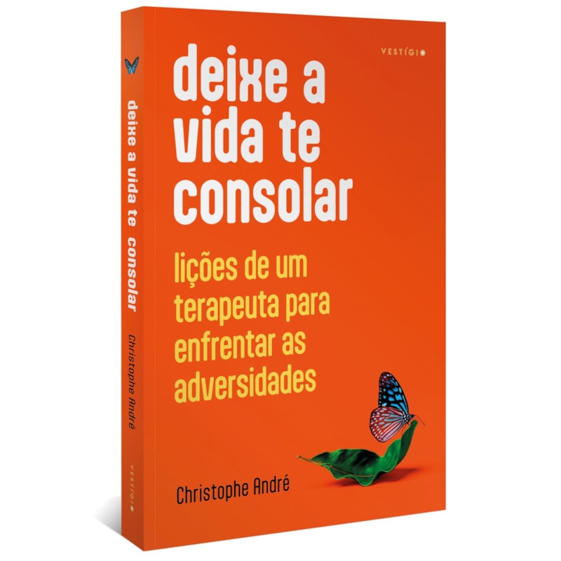 DEIXE A VIDA TE CONSOLAR: LIÇÕES DE UM TERAPEUTA PARA ENFRENTAR AS ADVERSIDADES
