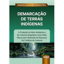 DEMARCAÇÃO DE TERRAS INDÍGENAS