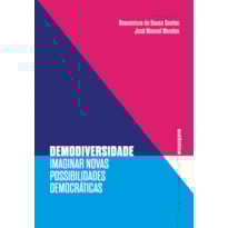 DEMODIVERSIDADE: IMAGINAR NOVAS POSSIBILIDADES DEMOCRÁTICAS
