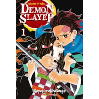 Demon slayer - kimetsu no yaiba vol. 1