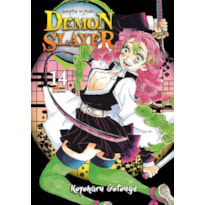 Demon slayer - kimetsu no yaiba vol. 14