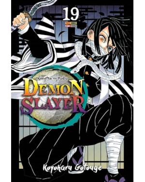 Demon slayer - kimetsu no yaiba vol. 19