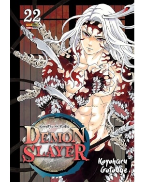 Demon slayer - kimetsu no yaiba vol. 22