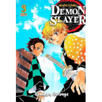 Demon slayer - kimetsu no yaiba vol. 3