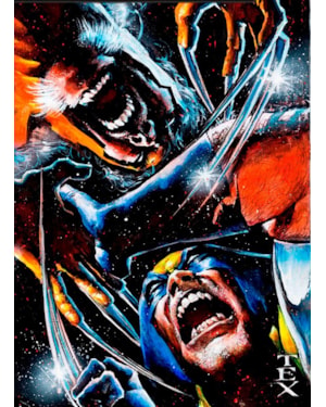 Dentes-de-sabre: caçada mortal (marvel graphic novels)