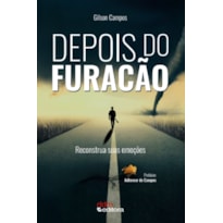 DEPOIS DO FURACÃO