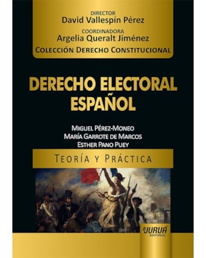 DERECHO ELECTORAL ESPAÑOL - TEORÍA Y PRÁCTICA - COLECCIÓN DERECHO CONSTITUCIONAL - DIRECTOR: DAVID VALLESPÍN PÉREZ - COORDINADORA: ARGELIA QUERALT JIMÉNEZ