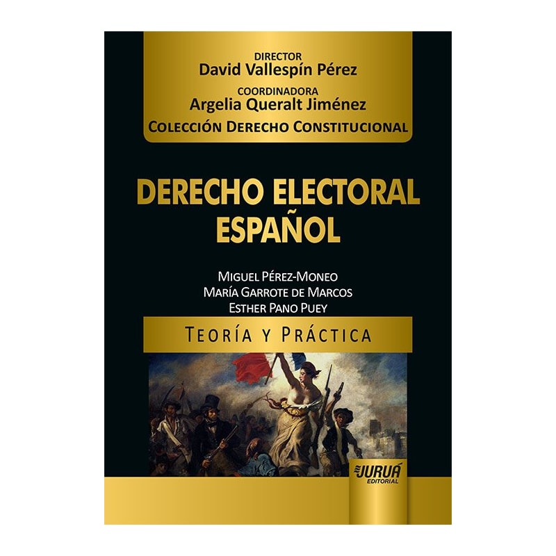 DERECHO ELECTORAL ESPAÑOL - TEORÍA Y PRÁCTICA - COLECCIÓN DERECHO CONSTITUCIONAL - DIRECTOR: DAVID VALLESPÍN PÉREZ - COORDINADORA: ARGELIA QUERALT JIMÉNEZ