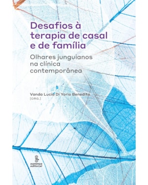 DESAFIOS À TERAPIA DE CASAL E DE FAMÍLIA: OLHARES JUNGUIANOS NA CLÍNICA CONTEMPORÂNEA