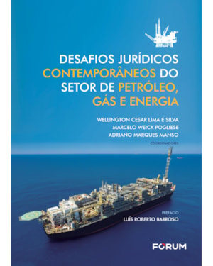 Desafios jurídicos contemporâneos do setor de petróleo, gás e energia
