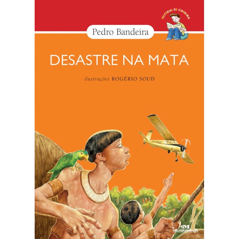 DESASTRE NA MATA