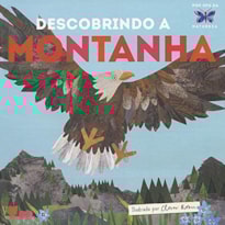 DESCOBRINDO A MONTANHA