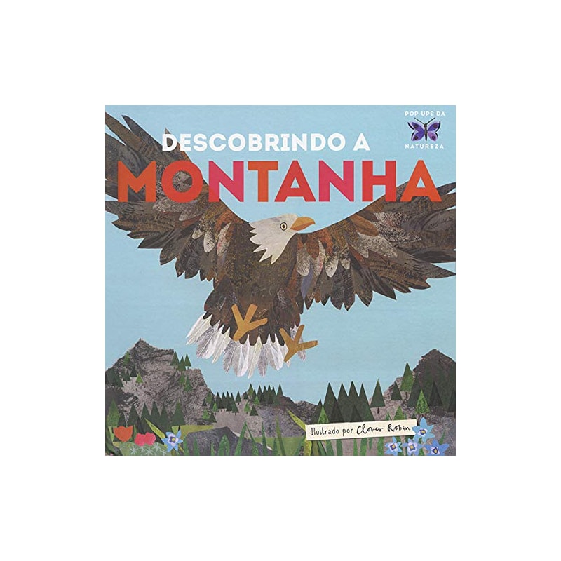 DESCOBRINDO A MONTANHA