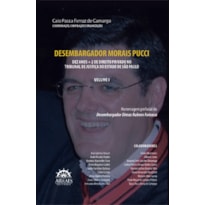 DESEMBARGADOR MORAIS PUCCI: DEZ ANOS + 2 DE DIREITO PRIVADO NO TRIBUNAL DE JUSTIÇA DO ESTADO DE SÃO PAULO - VOL I