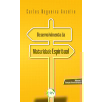 DESENVOLVIMENTO DA MATURIDADE ESPIRITUAL - VOL. 02