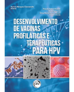 DESENVOLVIMENTO DE VACINAS PROFILÁTICAS E TERAPÊUTICAS PARA HPV
