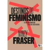 Destinos do feminismo: do capitalismo administrado pelo Estado à crise neoliberal