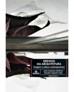 DESVIOS DA ARQUITETURA : IMAGEM E CULTURA CONTEMPORÂNEA