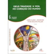 DEUS TRINDADE: A VIDA NO CORAÇÃO DO MUNDO - VOL. 6: TRINDADE E GRAÇA I - TEOLOGIA SISTEMÁTICA