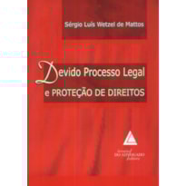 DEVIDO PROCESSO LEGAL E PROTEÇÃO DE DIREITOS