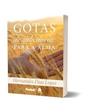 DEVOCIONAL GOTAS DE SABEDORIA PARA A ALMA
                                                                
