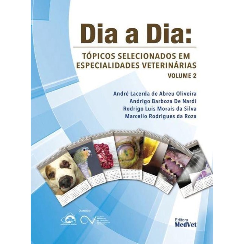 image_e9afce76-a2ca-4f97-8387-302705f6aa9e