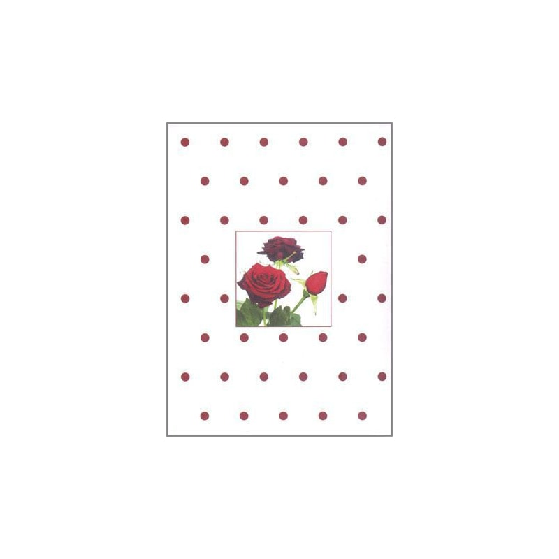 DIÁRIO DAS FLORES - ROSAS BOLINHAS