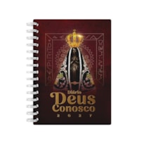 DIÁRIO DEUS CONOSCO 2027 - CORAÇÃO DE MÃE - WIRE-O