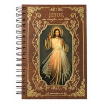 DIÁRIO ESPIRITUAL 2027 JESUS MISERICORDIOSO