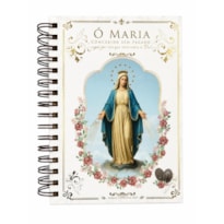 DIÁRIO ESPIRITUAL 2027 NOSSA SENHORA DAS GRAÇAS