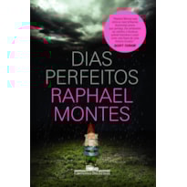 DIAS PERFEITOS: O LIVRO QUE DEU ORIGEM À SÉRIE ORIGINAL GLOBOPLAY