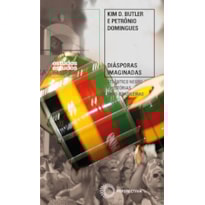 DIÁSPORAS IMAGINADAS: ATLÂNTICO NEGRO E HISTÓRIAS AFRO-BRASILEIRAS