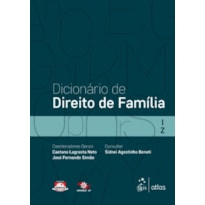 DICIONÁRIO DE DIREITO DE FAMÍLIA - VOL. 2