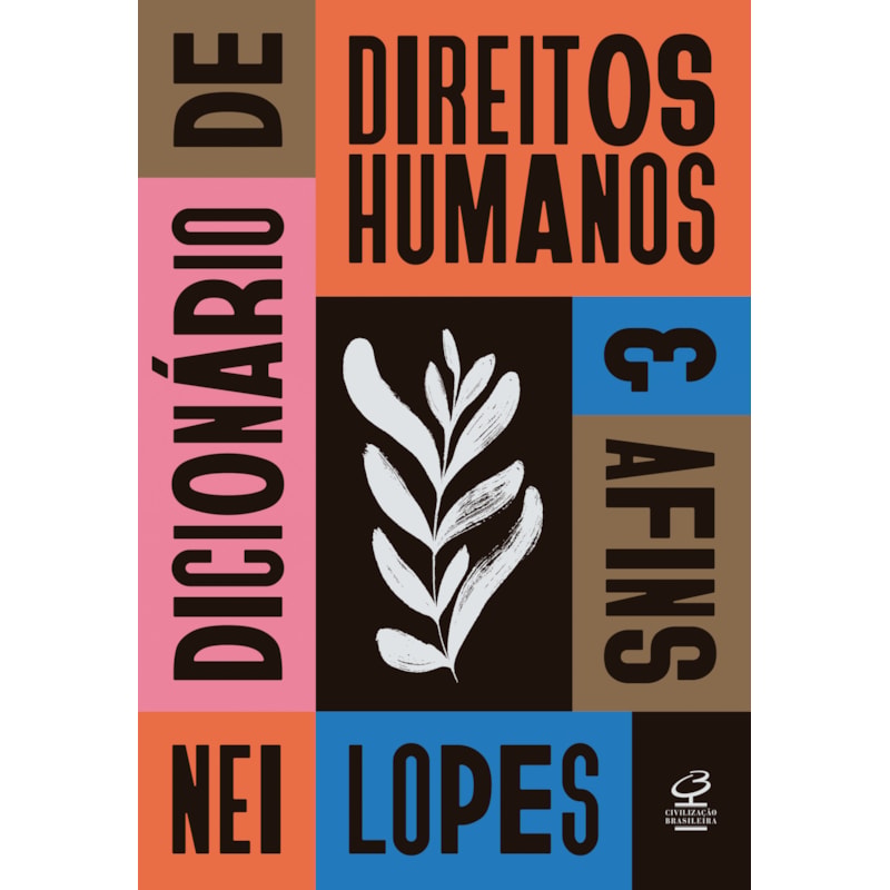 DICIONÁRIO DE DIREITOS HUMANOS E AFINS
