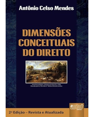 DIMENSÕES CONCEITUAIS DO DIREITO