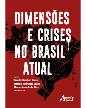 DIMENSÕES E CRISES NO BRASIL ATUAL