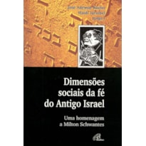 DIMENSÕES SOCIAIS DA FÉ DO ANTIGO ISRAEL: UMA HOMENGAGEM A MILTON SCHWANTES