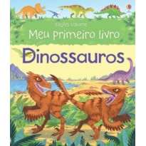 DINOSSAUROS : MEU PRIMEIRO LIVRO