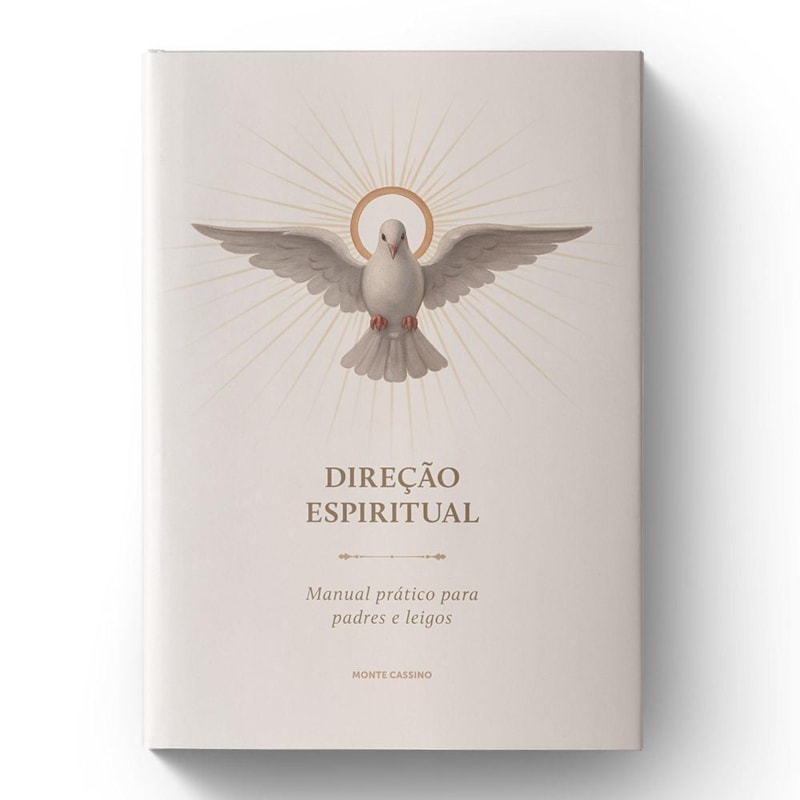DIREÇÃO ESPIRITUAL: MANUAL PRÁTICO PARA PADRES E LEIGOS (2ª ED.)