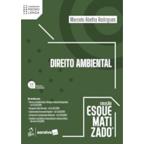 DIREITO AMBIENTAL - COLEÇÃO ESQUEMATIZADO - 13ª EDIÇÃO 2026