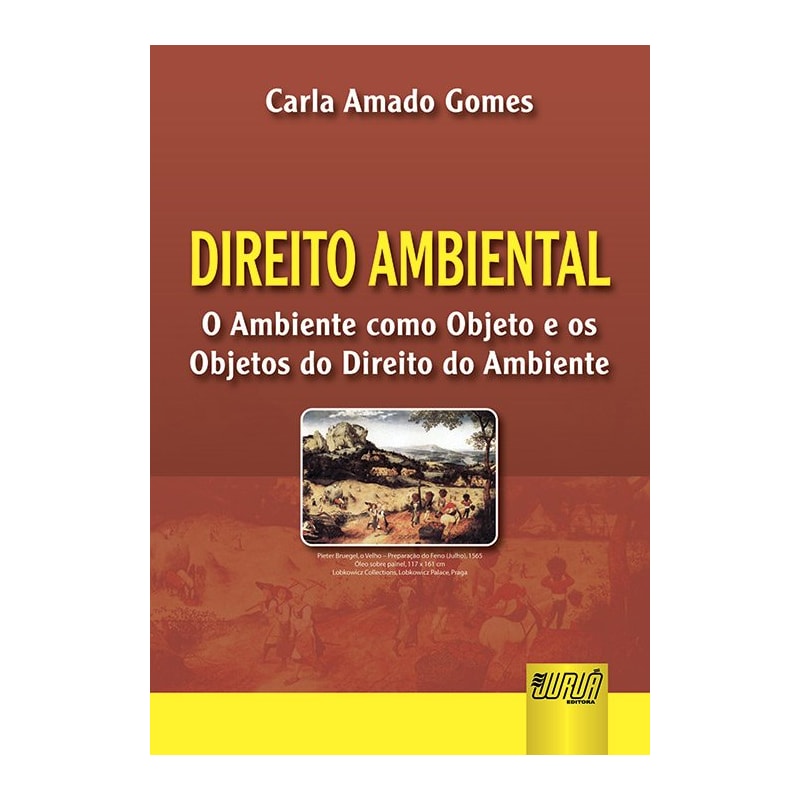 DIREITO AMBIENTAL - O AMBIENTE COMO OBJETO E OS OBJETOS DO DIREITO DO AMBIENTE