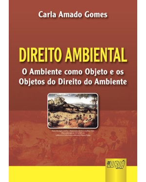 DIREITO AMBIENTAL - O AMBIENTE COMO OBJETO E OS OBJETOS DO DIREITO DO AMBIENTE