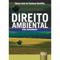 DIREITO AMBIENTAL - PÓS-MODERNO