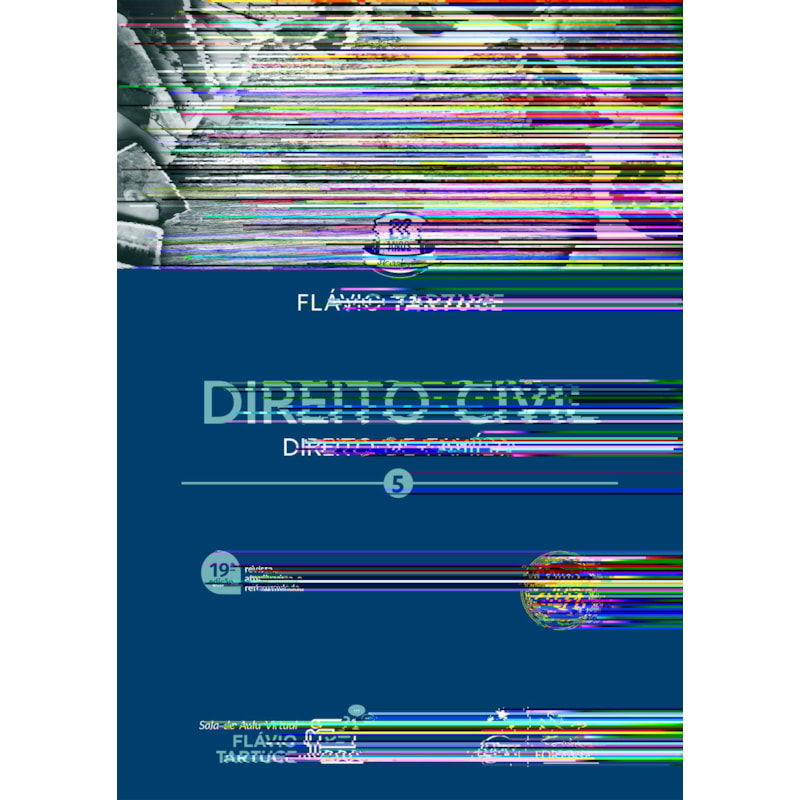 DIREITO CIVIL - VOL. 5 - 19ª EDIÇÃO 2024