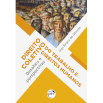 DIREITO COLETIVO DO TRABALHO E DIREITOS HUMANOS