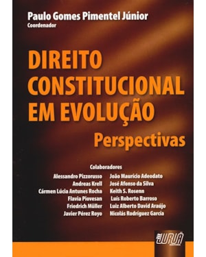 DIREITO CONSTITUCIONAL EM EVOLUÇÃO - PERSPECTIVAS