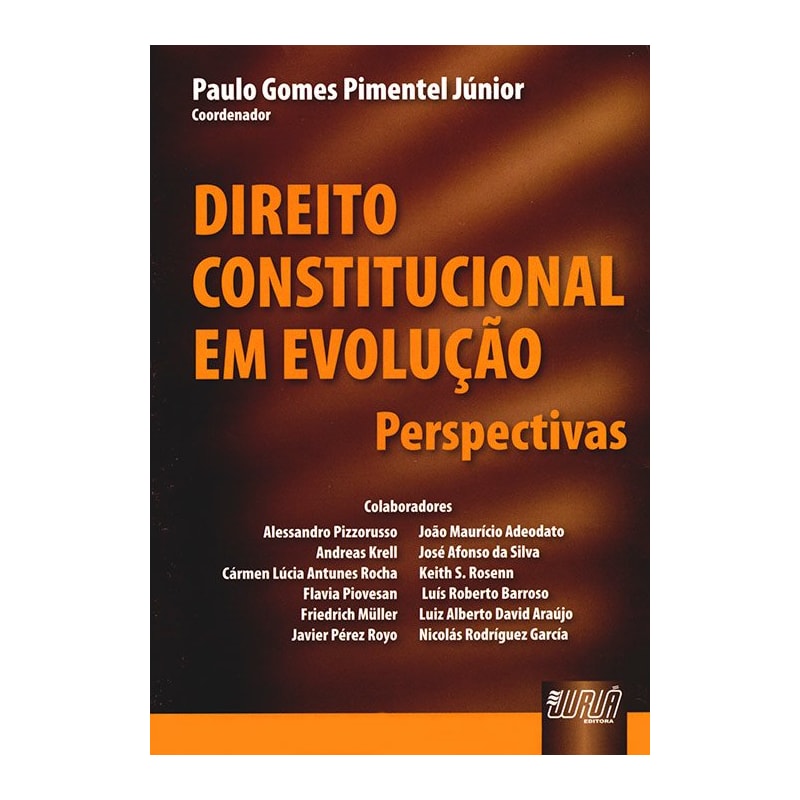 DIREITO CONSTITUCIONAL EM EVOLUÇÃO - PERSPECTIVAS