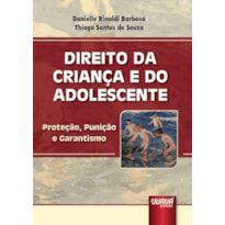 DIREITO DA CRIANÇA E DO ADOLESCENTE - PROTEÇÃO, PUNIÇÃO E GARANTISMO