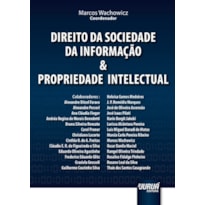 DIREITO DA SOCIEDADE DE INFORMAÇÃO & PROPRIEDADE INTELECTUAL